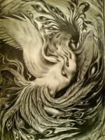 Drawing - Phoenix - -